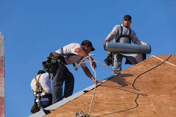 Best Roof Gutter Cleaning  in Hillsbo, OR