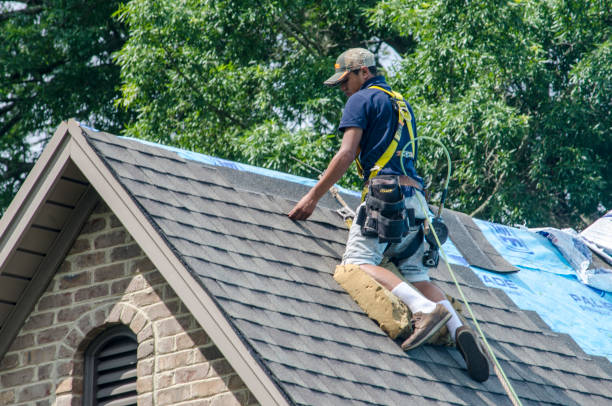 Best Local Roofing Companies  in Hillsbo, OR